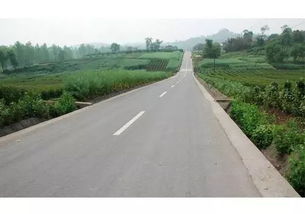 新建一二级公路拟禁止收费，公路管理与养护迎来新变革